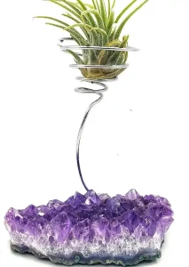 Air Plant Crystal Holder